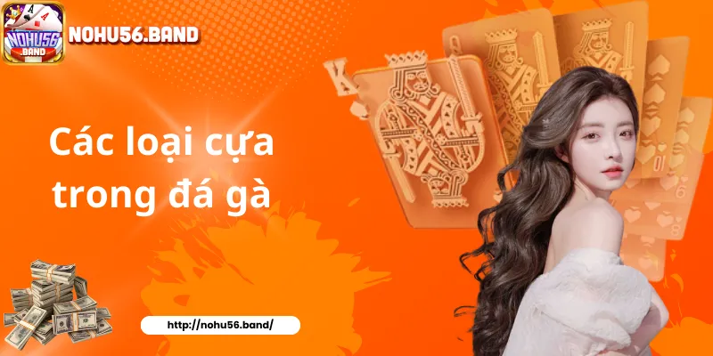 Các loại cựa trong đá gà