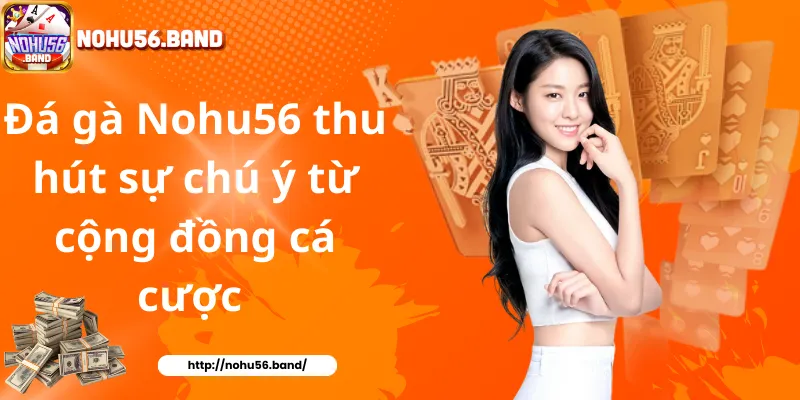 Đá gà Nohu56 thu hút sự chú ý từ cộng đồng cá cược