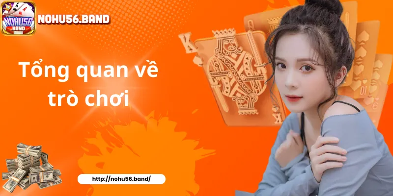 Tổng quan về trò chơi