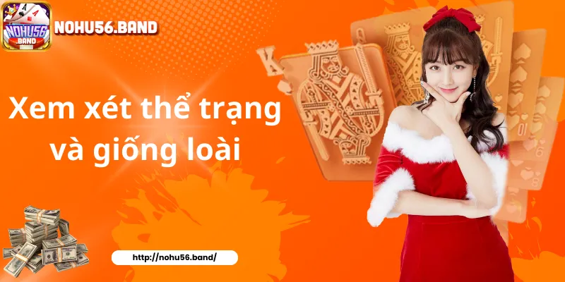 Xem xét thể trạng và giống loài